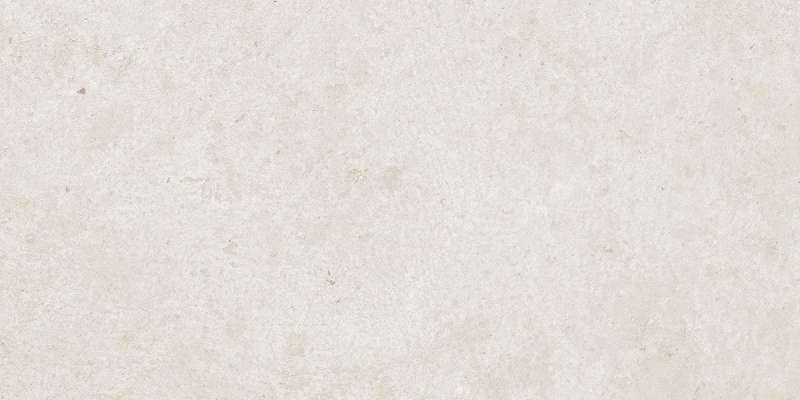 بلاط الحائط - 300 × 600 مم (12 × 24 بوصة) - Art_Matt-77-HL