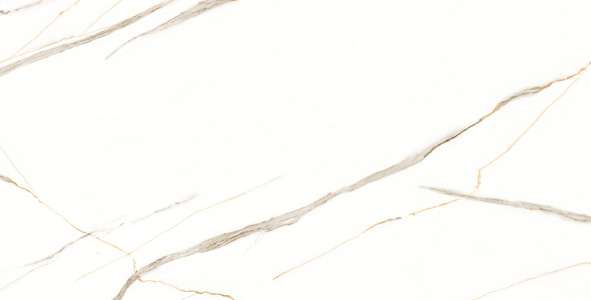 Glazed Porcelain Tiles - 600 x 1200 mm ( 24 x 48 inch ) - GLACIER GOLD R1