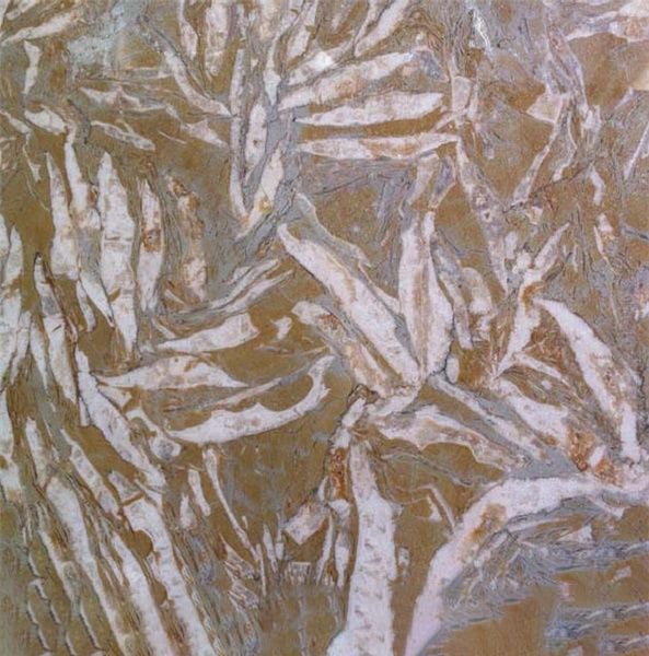 Breccia Dorata
