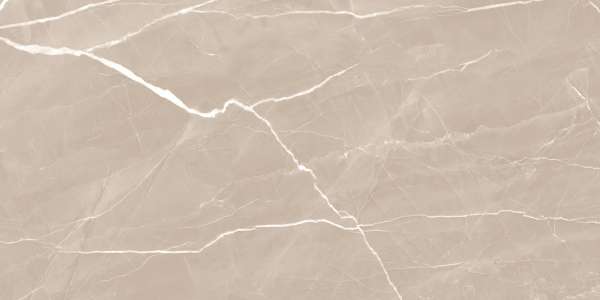 Glazed Porcelain Tiles - 600 x 1200 mm ( 24 x 48 inch ) - FILITO BROWN_01