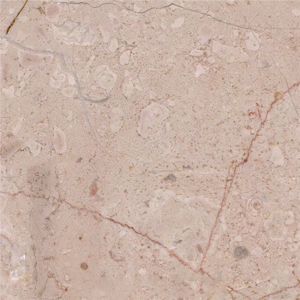 Dijon Limestone