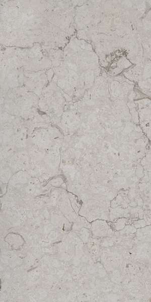 Glazed Porcelain Tiles - 600 x 1200 mm ( 24 x 48 inch ) - ARENA-ELITE-SMOKE-P1