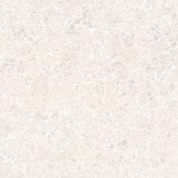 piastrelle gres porcellanato - 600 x 600 mm (24 x 24 pollici) - 8802