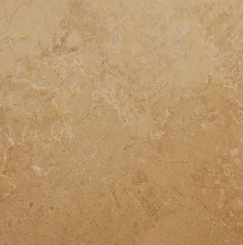 Dark Beige Fossil Marble