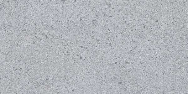 PGVT & GVT - 600 x 1200 mm ( 24 x 48 inci ) - terrain-grey-1