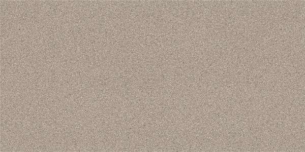 Glazed Porcelain Tiles - 600 x 1200 mm ( 24 x 48 inch ) - aspen-tusk-1