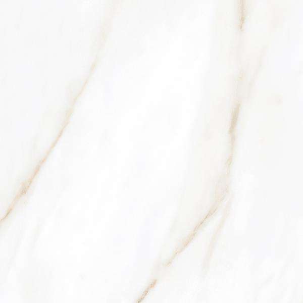 Glazed Porcelain Tiles - 600 x 600 mm ( 24 x 24 inch ) - 1387.d