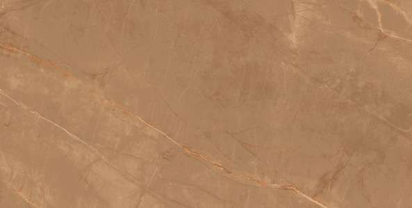 Glazed Porcelain Tiles - 600 x 1200 mm ( 24 x 48 inch ) - EMBRACE BROWN R1