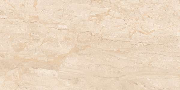 Glazed Porcelain Tiles - 600 x 1200 mm ( 24 x 48 inch ) - DYNA SUPREME_F3