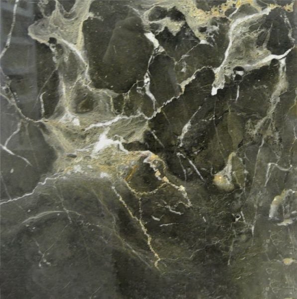 Bauhinia Flower Marble