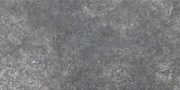 piso azulejo - 600 x 1200 mm (24 x 48 pulgadas) - aurisina-black-(carving)-1