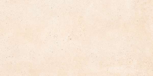 Glazed Porcelain Tiles - 600 x 1200 mm ( 24 x 48 inch ) - HEXAGON LIGHT R1