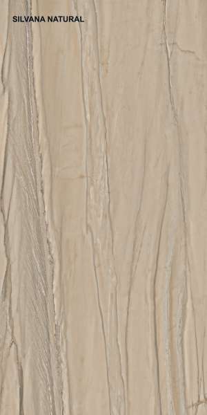 rajoles de porcellana vidriada - 600 x 1200 mm (24 x 48 polzades) - SILVANA NATURAL P1