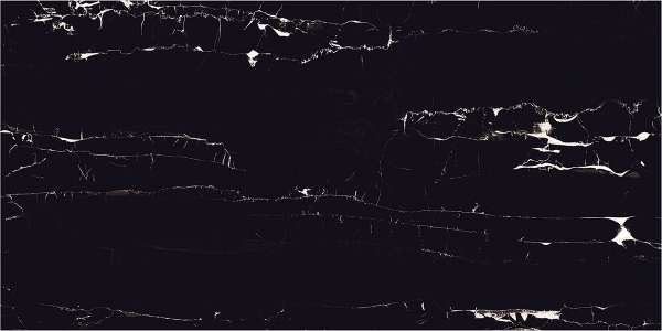 pavimento gres porcellanato - 600 x 1200 mm (24 x 48 pollici) - EXOTIC-BLACK-1