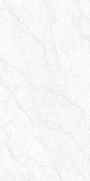 PGVT & GVT - 600 x 1200 mm ( 24 x 48 inci ) - BARLINE BIANCO_01