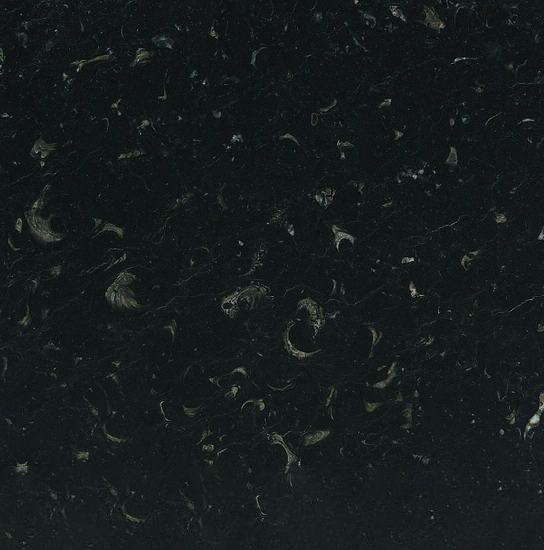 Negro Caracol Marble