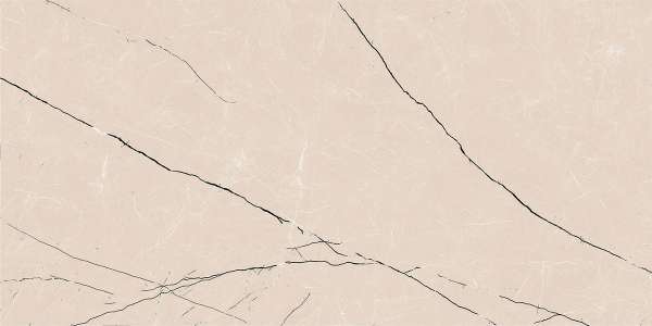 Glazed Porcelain Tiles - 600 x 1200 mm ( 24 x 48 inch ) - svpl-7004-1