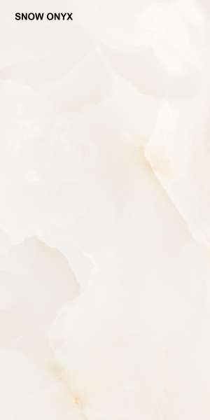 piso azulejo - 600 x 1200 mm (24 x 48 pulgadas) - SNOW ONYX_F1