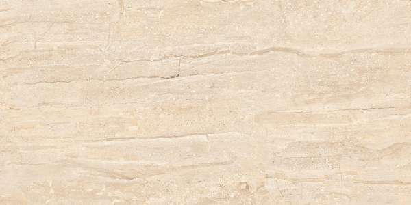 Glazed Porcelain Tiles - 600 x 1200 mm ( 24 x 48 inch ) - PRIME DYNA BROWN_01