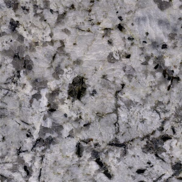 White Champagne Granite