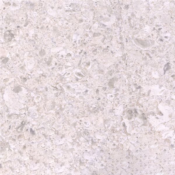 White Vera Marble