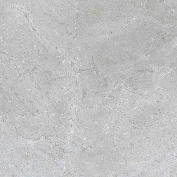 pavimento gres porcellanato - 600 x 600 mm (24 x 24 pollici) - CORDIA SILVER