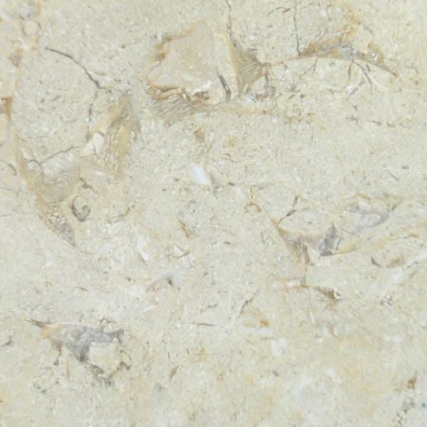 Nicchio Limestone