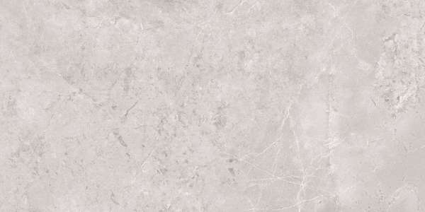 rajoles de porcellana vidriada - 600 x 1200 mm (24 x 48 polzades) - GRANDE VALOR FLOS LIGHT GREY