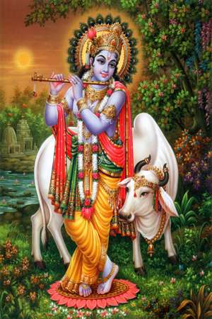 Kothak poster - 600 x 900 mm ( 24 x 36 inci ) - Lord Krishna Photo | Wall Tile | 600x900mm HG-28