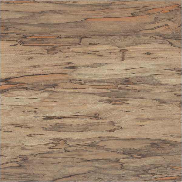 pavimento gres porcellanato - 195 x 1200 mm (8 x 48 pollici) - amazonia-carame