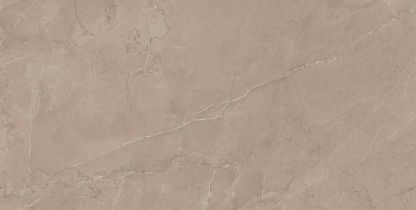 Glazed Porcelain Tiles - 600 x 1200 mm ( 24 x 48 inch ) - RS 139_Chiku