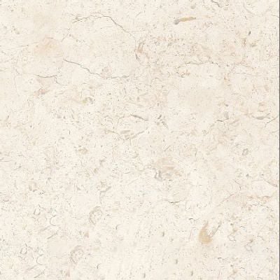 Bone White Limestone