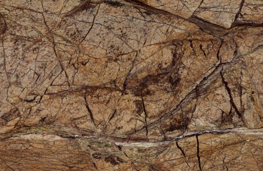 Rainforest Brown Marble