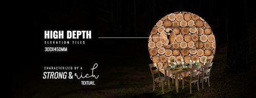 Company Banner 2