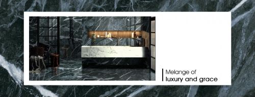 Company Banner 2