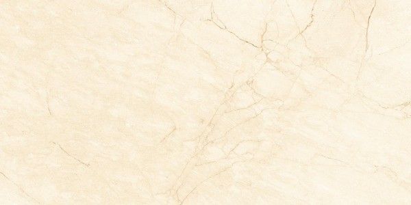 24 X 48 carrelages céramique - Exotic Beige