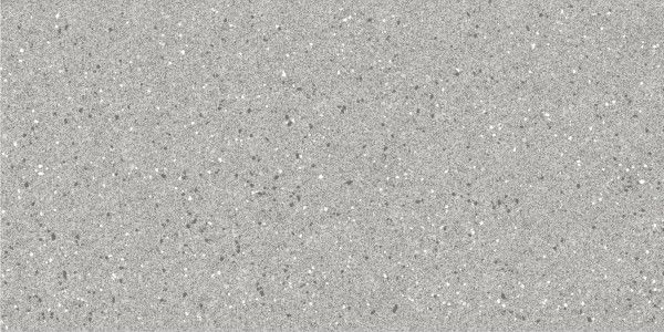 24 X 48 carrelage gres cerame - Flake Genesis Pluto_Polish_600x1200